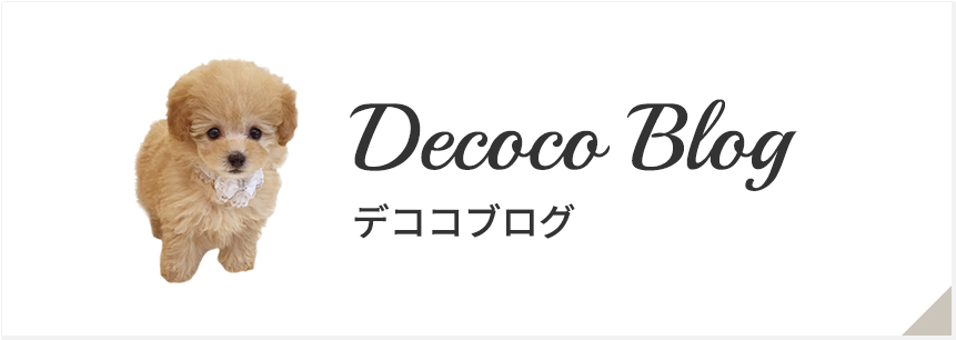 Decoco Blog デココブログ
