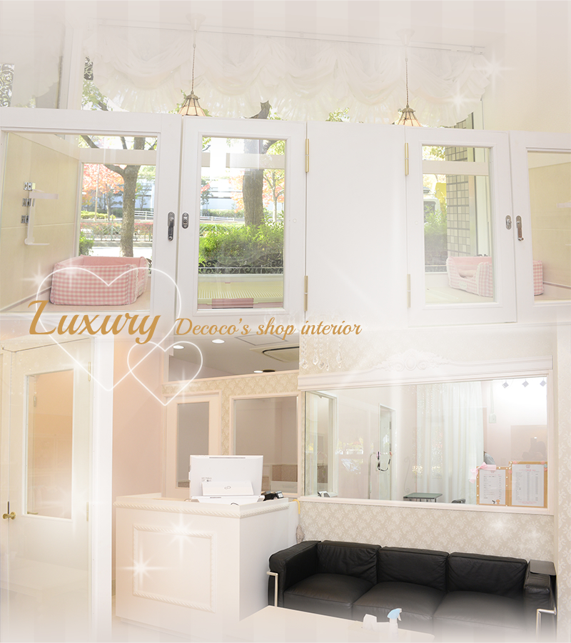 Luxury Decoco’s shop interior