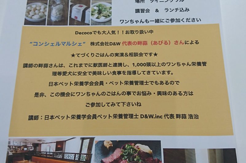 【Decoco】Coming Soon。。。わんちゃん ご飯手作り 実演 食のお勉強会 by コンシェルマルシェのアイキャッチ