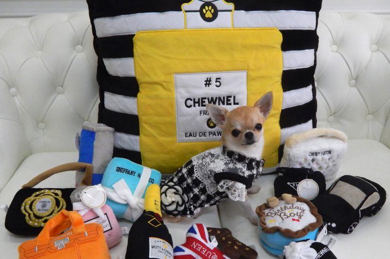 【Decoco】Dog Diggin Designs Bed/Toyのアイキャッチ