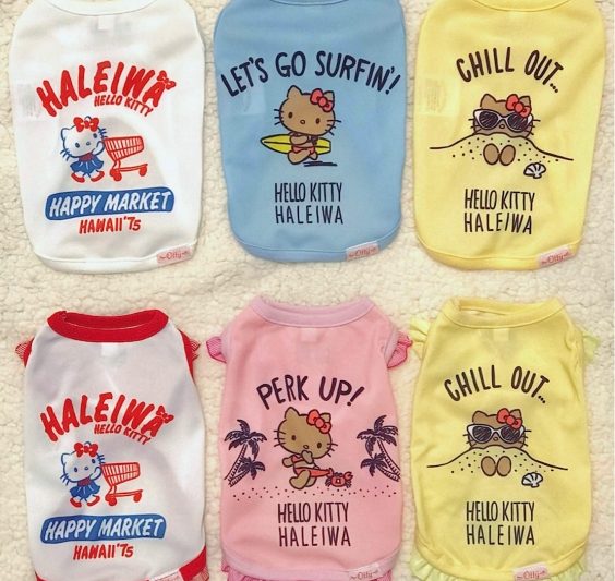 【Decoco】Otty 新作入荷予約のアイキャッチ