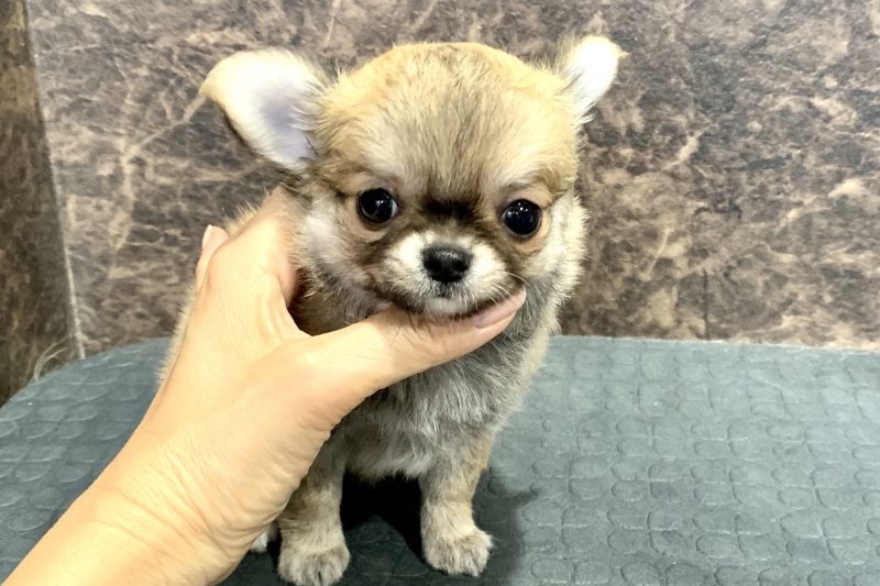 100のアイキャッチ