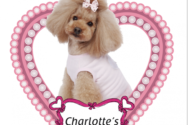 【Decoco】Charlotte’sDress 2019 Spring/Summer Collection のアイキャッチ